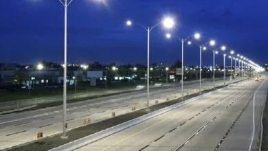 5315645.jpg