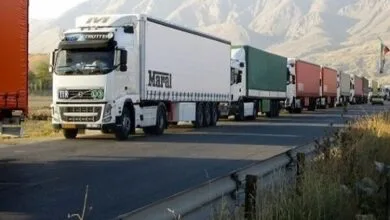 5318826.jpg