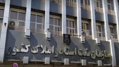 حدنگاری ۱۱ میلیون هکتار از اراضی کشاورزی انجام شد