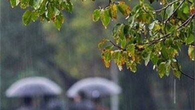 پیش‌بینی بارش پراکنده باران در ارتفاعات استان بوشهر