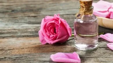 پایگاه اطلاع رسانی ایران