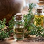 خواص خاص آویشن؛ از درمان عفونت تا کنترل فشار خون