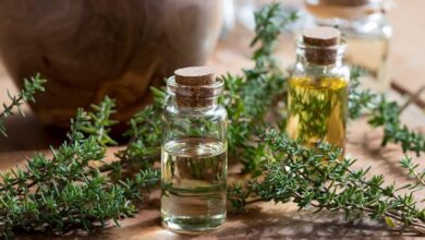 خواص خاص آویشن؛ از درمان عفونت تا کنترل فشار خون خواص خاص آویشن؛ از درمان عفونت تا کنترل فشار خون