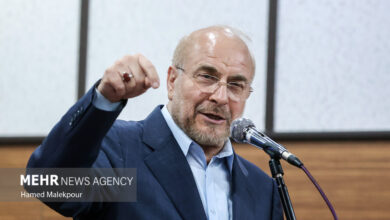 رییس مجلس شورای اسلامی وارد ارومیه شد رییس مجلس شورای اسلامی وارد ارومیه شد