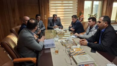 خروج سیمان پاکتی تا اطلاع ثانوی از استان ایلام ممنوع است