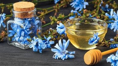 گیاهی فوق‌العاده برای پاکسازی کبد