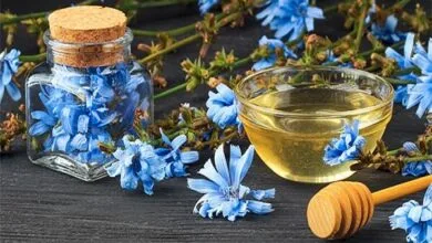 پایگاه اطلاع رسانی ایران