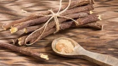 شگفتی‌های شیرین بیان؛ از درمان بیماری‌ها تا جوانی پوست