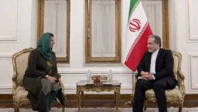دیدار قائم مقام وزارت خارجه پاکستان با عراقچی