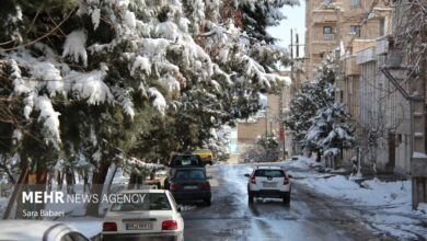 تصاویری از هوای برفی شهر کرمانشاه از ارتفاعات پارک شیرین تصاویری از هوای برفی شهر کرمانشاه از ارتفاعات پارک شیرین