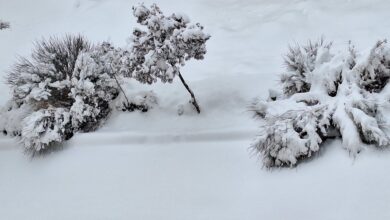 برف‌روبی جاده تفرش به فراهان