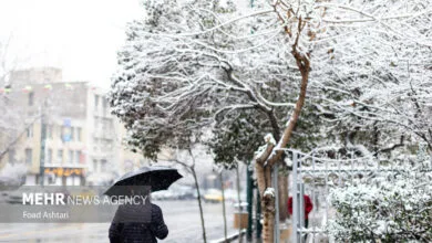 پایگاه اطلاع رسانی ایران