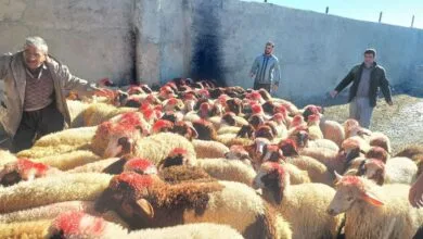 پایگاه اطلاع رسانی ایران