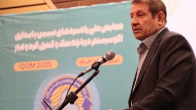 ۶۵ درصد تالاب‌های کشور به عرصه تولید غبار تبدیل شده است