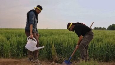 کاشت ۷۵۰۰ نخل به یاد شهدای طلبه و دانشجو