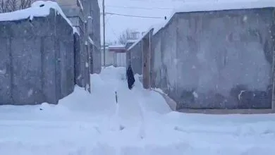 پایگاه اطلاع رسانی ایران