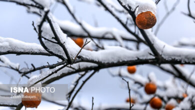 کولاک و برف در راه مازندران