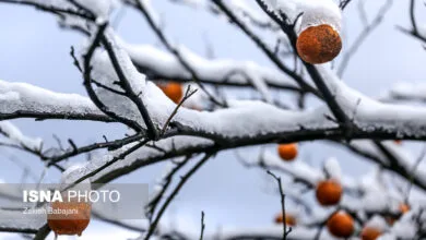 پایگاه اطلاع رسانی ایران