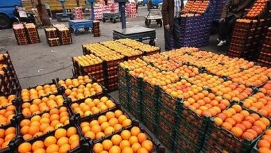 پایگاه اطلاع رسانی ایران