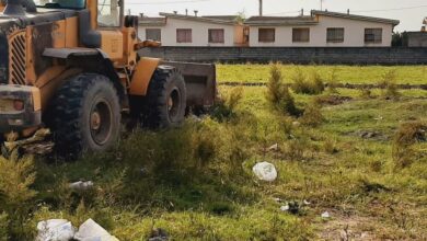 بازگشت ۲۳۸ هزار متر مربع از اراضی کشاورزی مازندران به چرخه تولید