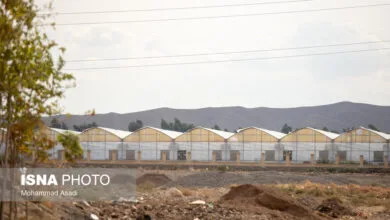 پایگاه اطلاع رسانی ایران