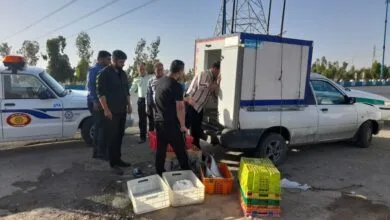 پایگاه اطلاع رسانی ایران