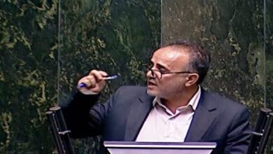 علیمردانی: نیروهای شرکتی از ابتدایی‌ترین حقوق استخدامی محروم هستند