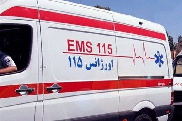 63184483.jpg