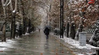 پایگاه اطلاع رسانی ایران