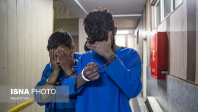 انهدام باند سارقان منزل با اعتراف به ۱۷ فقره سرقت