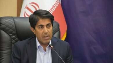 اشتغالزایی برای ۱۷۳۰ نفر با افتتاح ۲۷ طرح صنعتی و معدنی در فارس