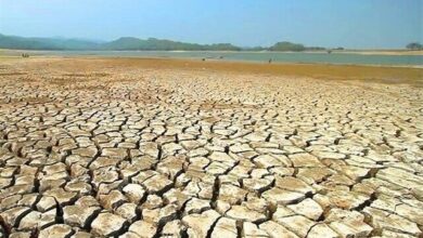 هامون، قلب تپنده محیط زیست شرق کشور نیازمند توجه بیشتر