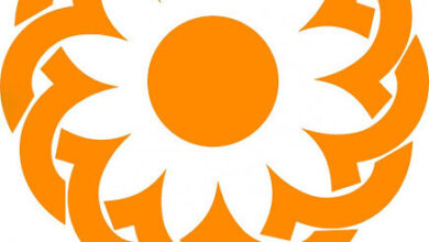 رصد مستمر وضعیت مراکز نگهداری در پی برودت هوا و بارشهای هفته جاری رصد مستمر وضعیت مراکز نگهداری در پی برودت هوا و بارشهای هفته جاری