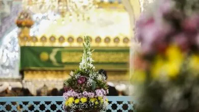 ضریح مطهر حضرت فاطمه معصومه (س) گل آرایی شد+تصاویر