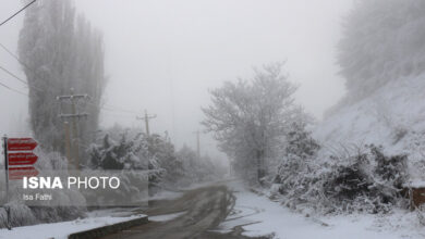 احتمال‌ تعطیلی مدارس در روزهای آینده