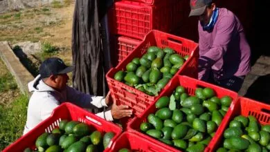 پایگاه اطلاع رسانی ایران