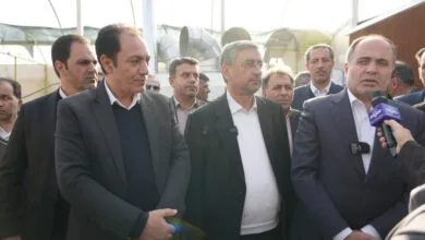 بیش از هزار هکتار گلخانه در لرستان ایجاد میشود بیش از هزار هکتار گلخانه در لرستان ایجاد میشود