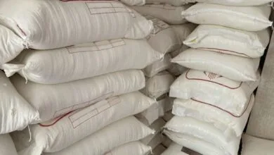 پایگاه اطلاع رسانی ایران