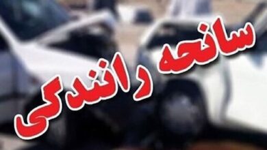 فوت شهروند تبریزی بر اثر برخورد با خودرو فوت شهروند تبریزی بر اثر برخورد با خودرو