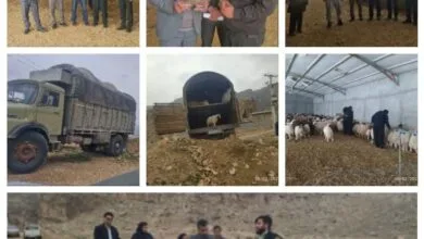 پایگاه اطلاع رسانی ایران