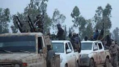 کشته شدن دو تروریست تحریر الشام در درگیری با عشایر لبنانی