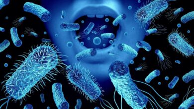 باکتری‌های دهان از ابتلا به زوال عقل پیشگیری می‌کنند؟