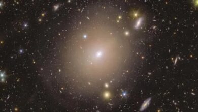 کشف حلقه اینشتین نادر توسط تلسکوپ اقلیدس