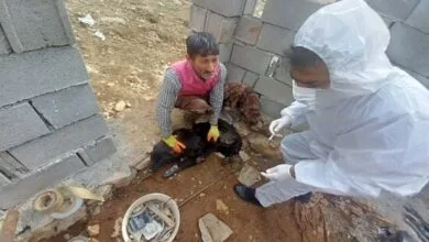 پایگاه اطلاع رسانی ایران