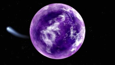 فرضیه زمین ارغوانی پررنگ شد