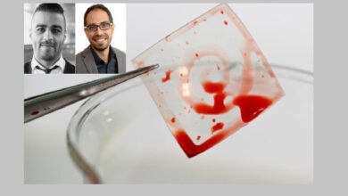 ابتکار دانشمندان ایرانی «دانشگاه سیدنی» برای جلوگیری از لخته شدن خون ابتکار دانشمندان ایرانی «دانشگاه سیدنی» برای جلوگیری از لخته شدن خون