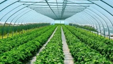 پایگاه اطلاع رسانی ایران