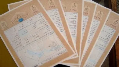 صدور ۲ میلیون و ۸۰۰ هزار سند سبز تک برگ صدور ۲ میلیون و ۸۰۰ هزار سند سبز تک برگ