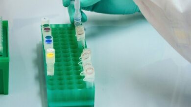 پیشرفت ایران در سلتراپی و ژنتراپی؛ همگام با تحولات جهانی پیشرفت ایران در سلتراپی و ژنتراپی؛ همگام با تحولات جهانی