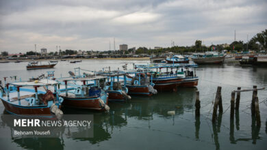 «اروند»، فرصت طلایی گردشگری جنوب که مغفول مانده است